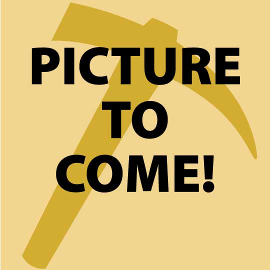 Snacks - Miner's Food Vendor - Crystal Gold Mine Food - Miner's Treat Traier - Snacks and Drinks